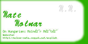 mate molnar business card